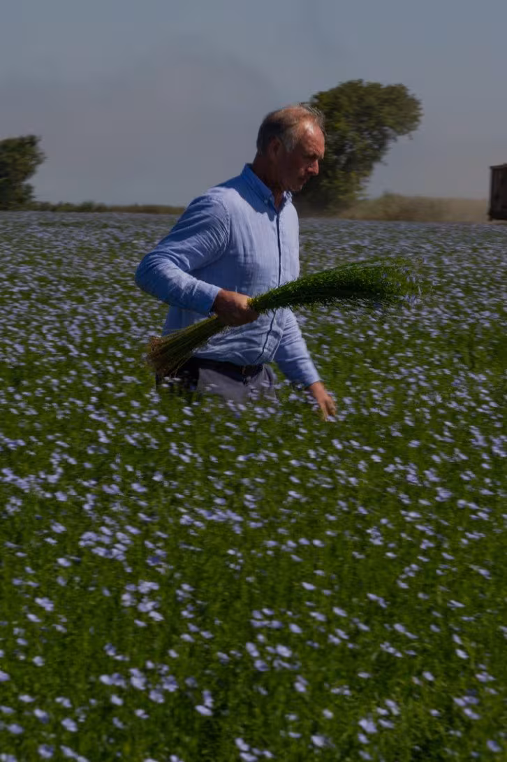 ppp view more ms our product